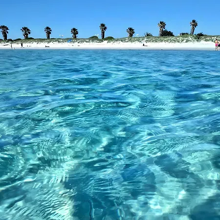 Casasalauna *